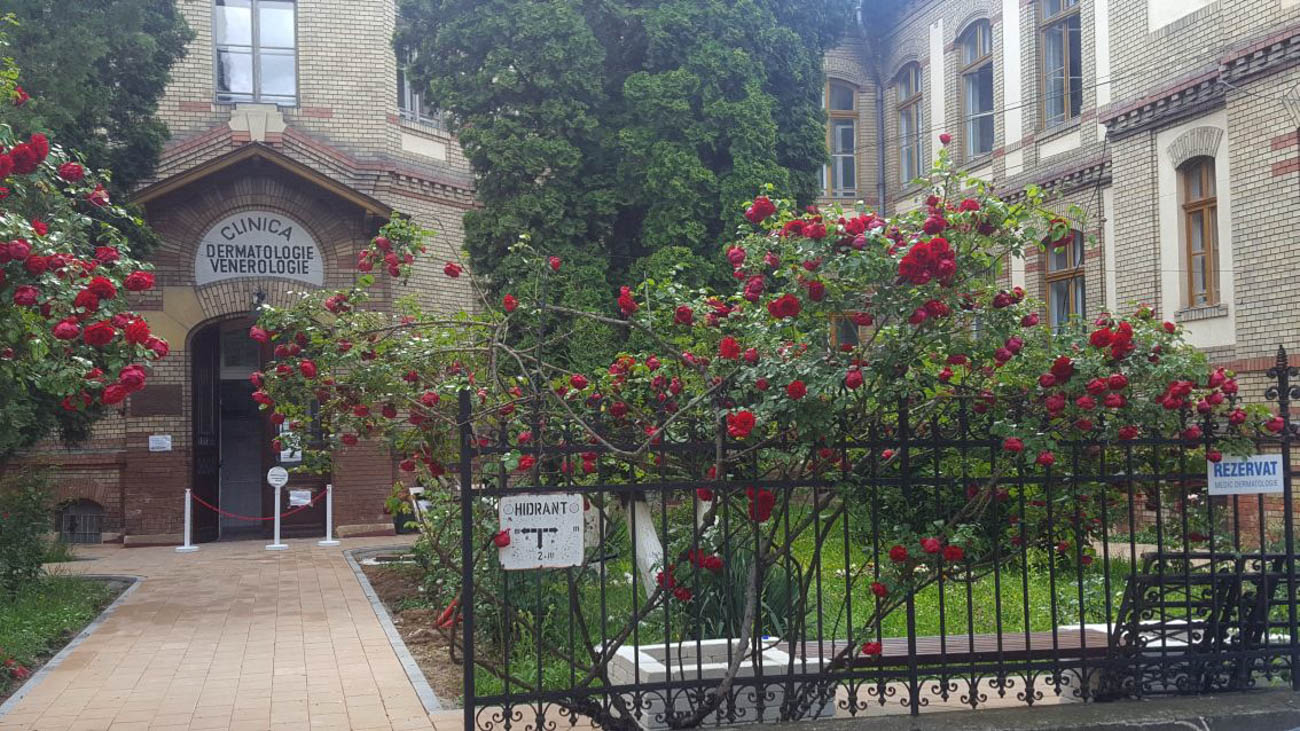 Critici la adresa medicilor de la secția Clinică de Dermatologie Cluj: ”Sistem mafiot”