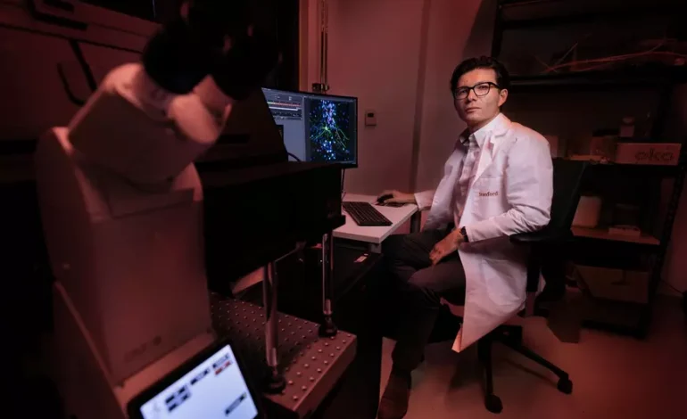 Un absolvent al UMF Cluj face carieră în America. Studiile despre creier ale profesorului Pașca, printre cele mai relevante din lume în 2025!