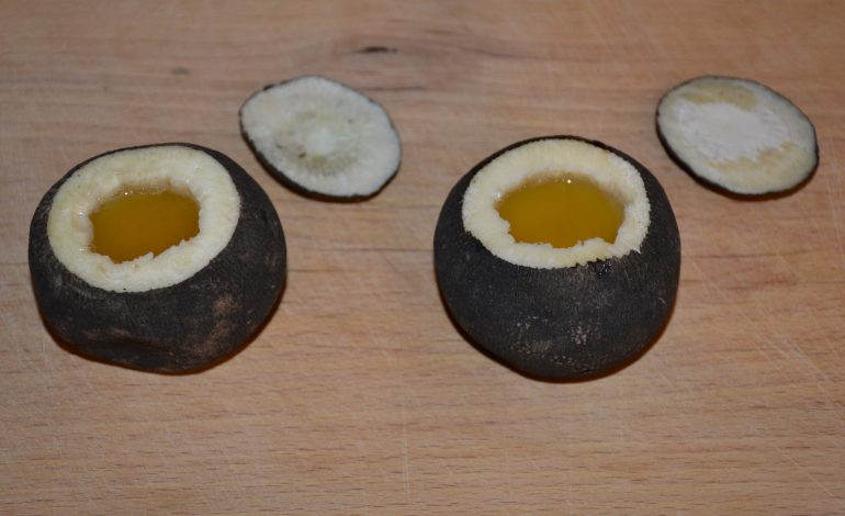 Remediu natural pentru tuse: De ce ridichea neagră este tot mai folosită în sezonul rece